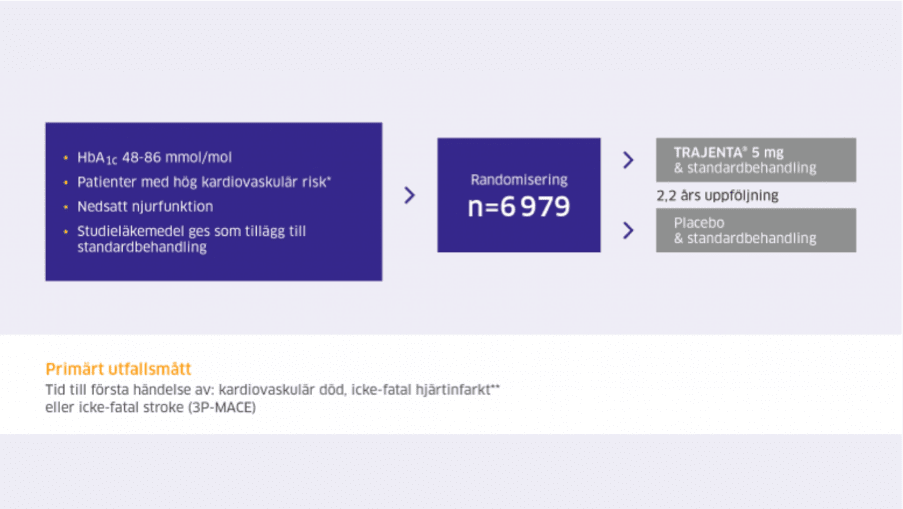 Ingen ökad risk för kardiovaskulära eller renala händelser