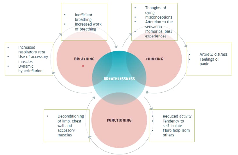 The Breathing Thinking Functioning model.