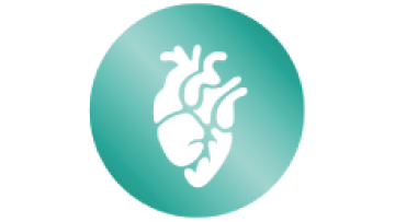 Heart-icon