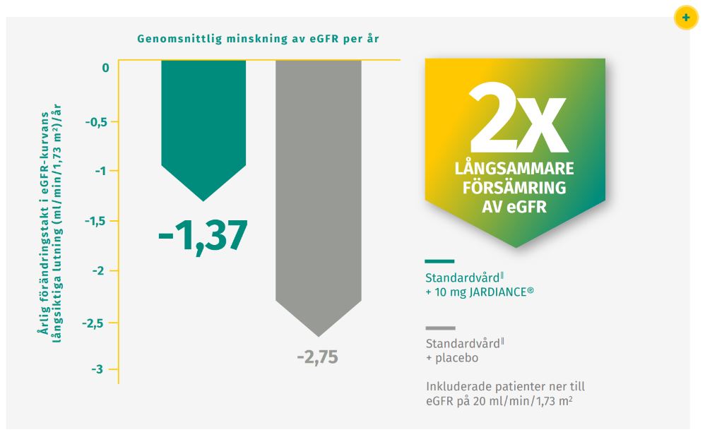 skyddade njurarna genom att bromsa