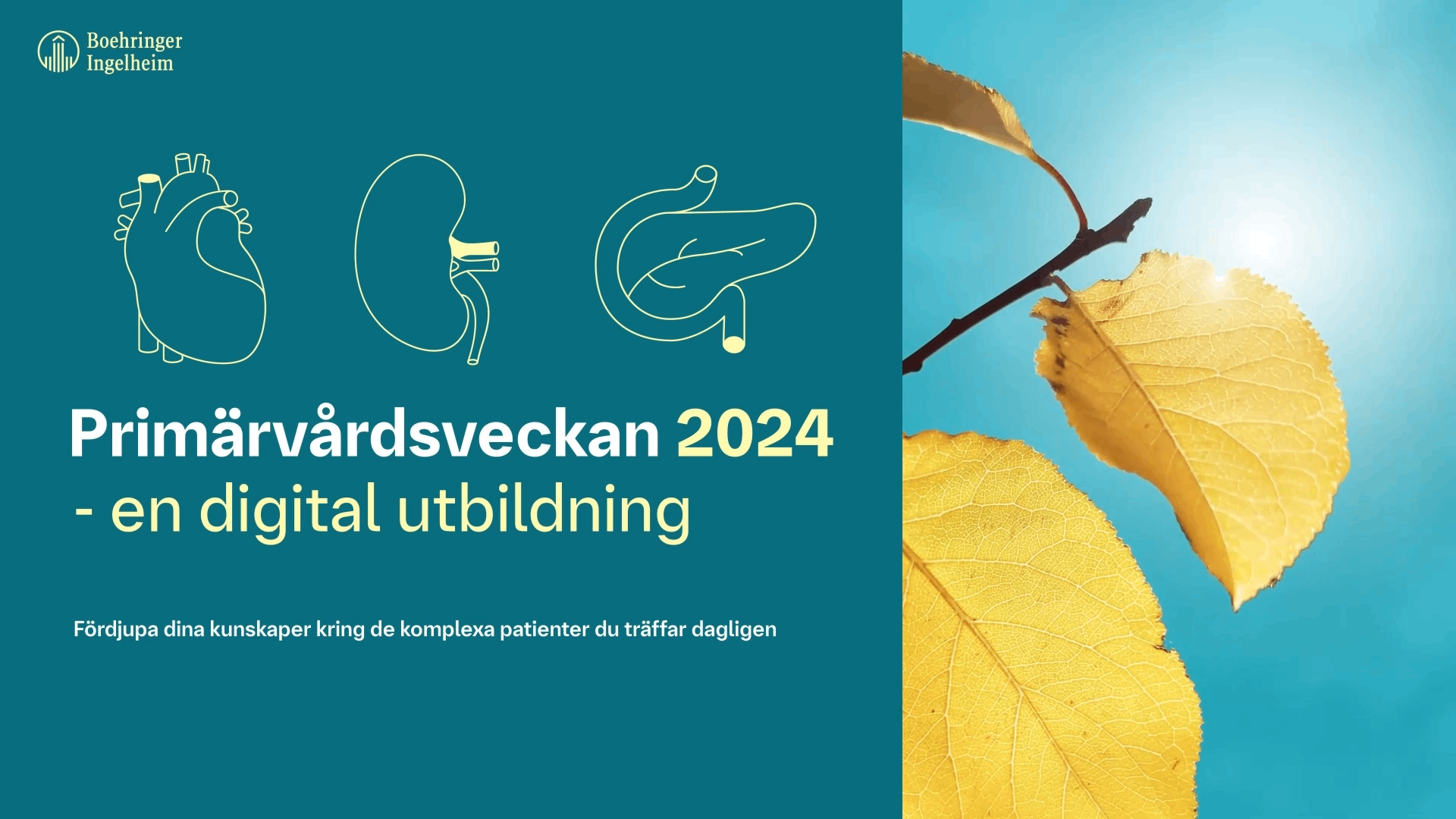 Primärvårdsveckan 2024